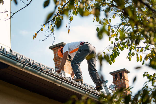 Best Roof Leak Repair  in Hackleburg, AL