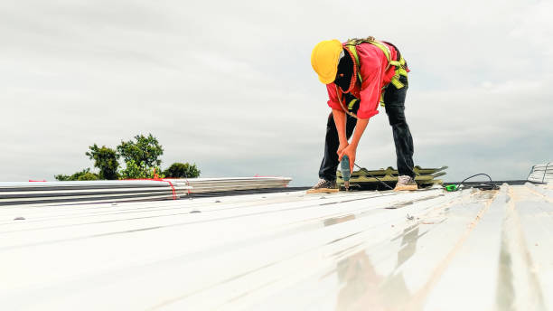 Best Roof Coating and Sealing  in Hackleburg, AL