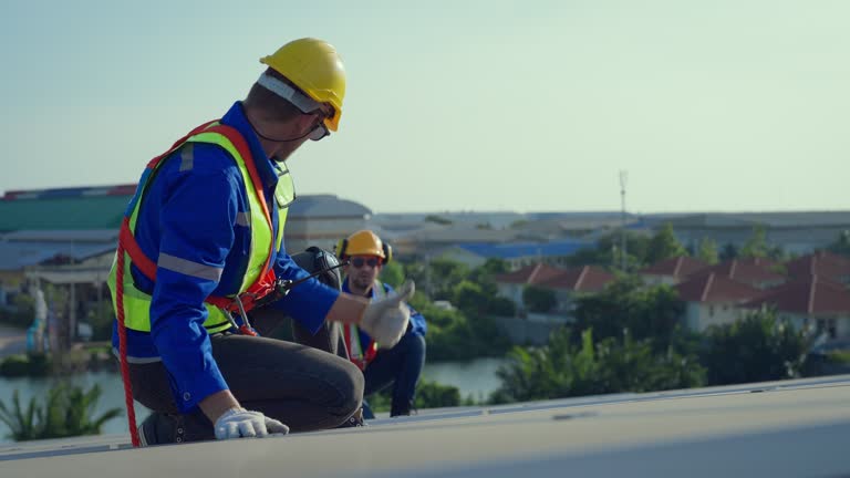 Best Skylight Installation and Repair  in Hackleburg, AL