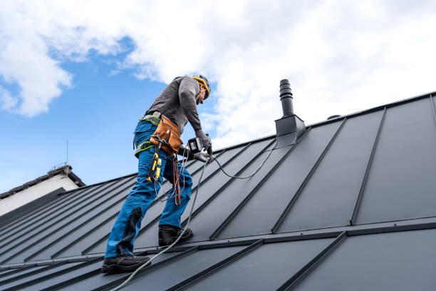 Best Gutter Installation and Repair  in Hackleburg, AL